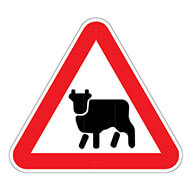 Дорожный знак Перегон скота